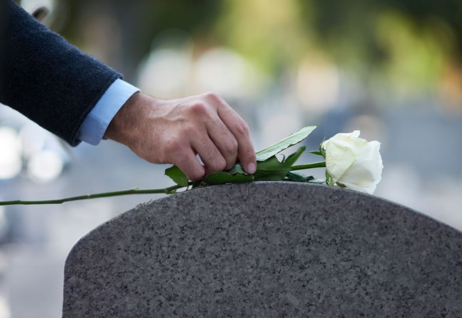 rosa blanca sobre lapida
