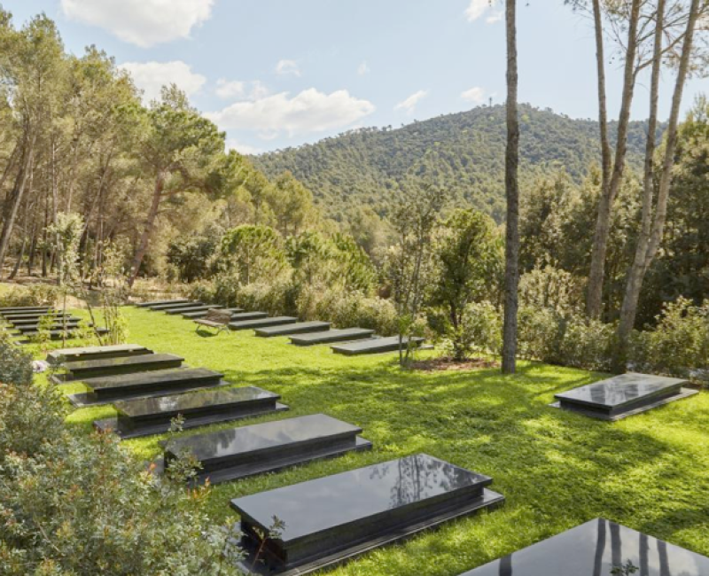 pateon cementerio roques